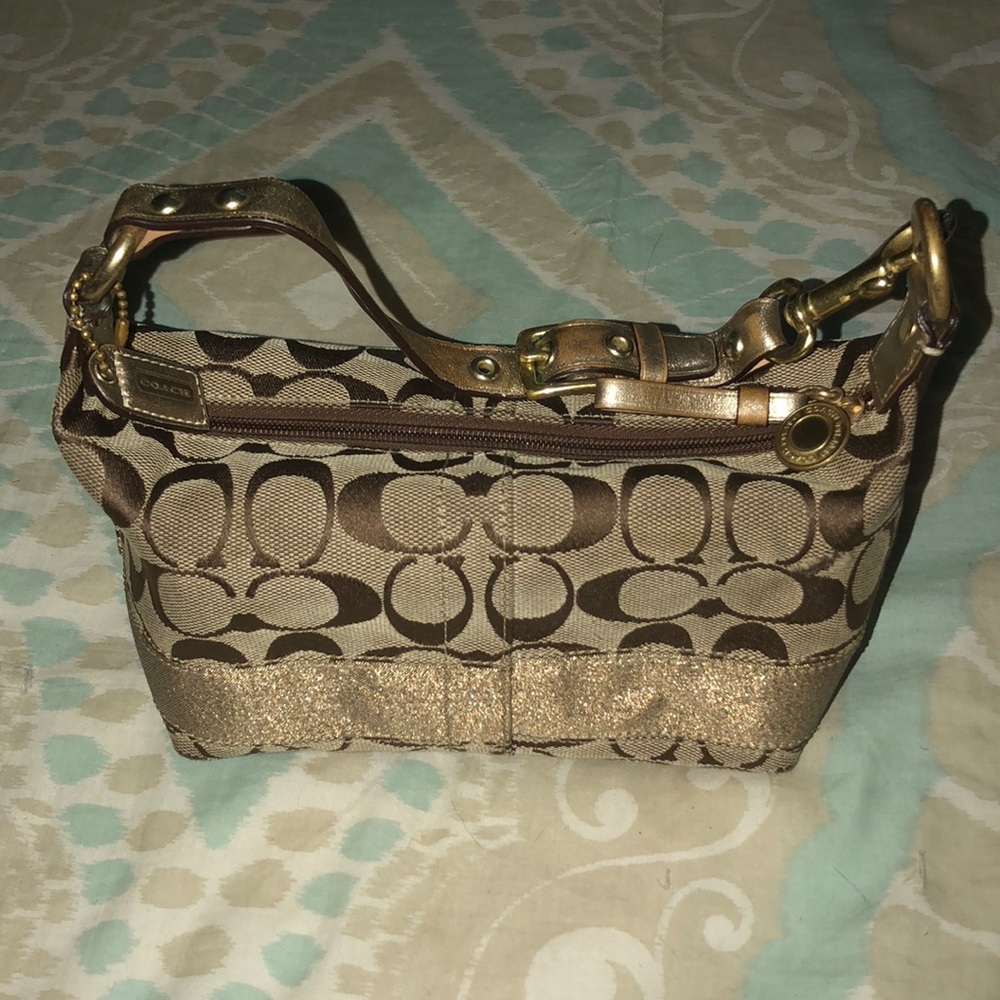 Limited Edition Gold Striped Coach Pouch